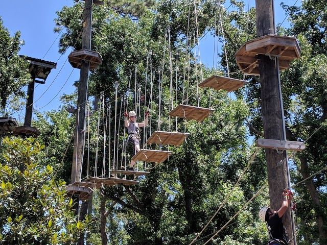 Radical Ropes Adventure Park
